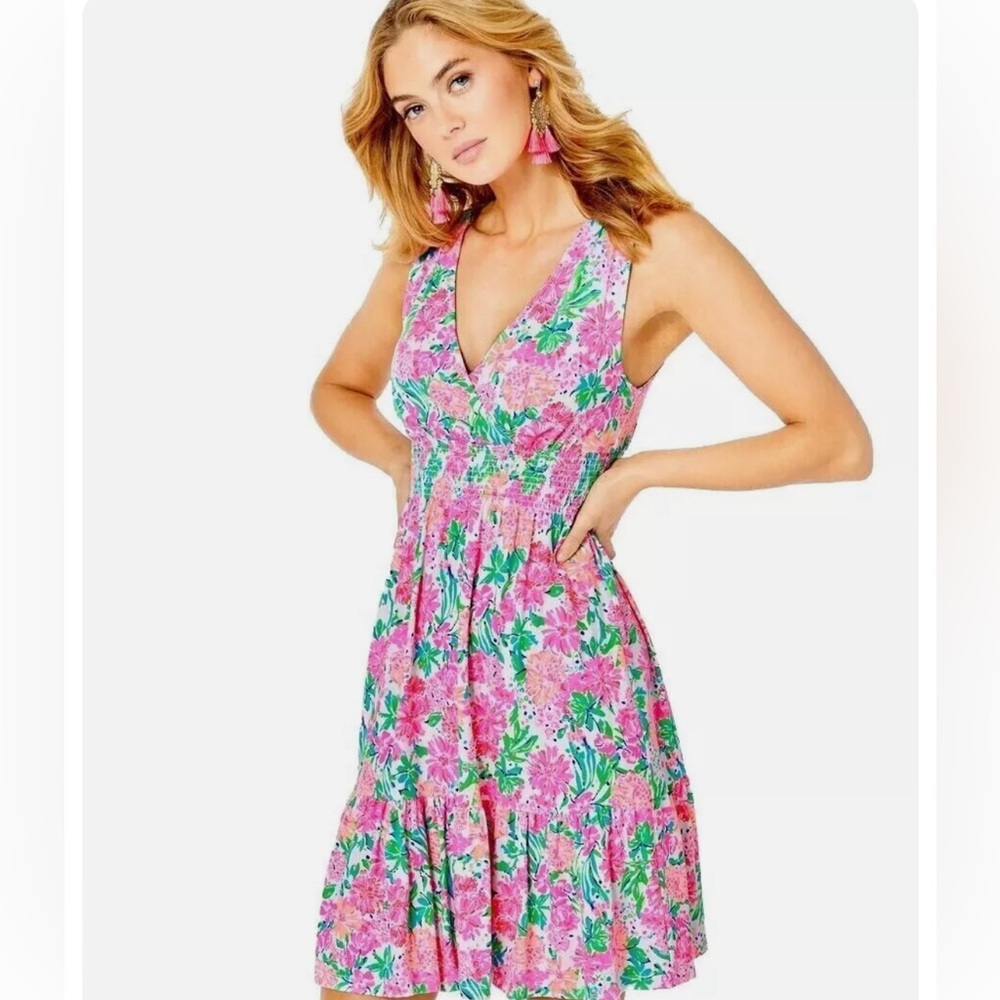 Lily Pulitzer Vivette Ruffle Dress - Picture 1 of 4